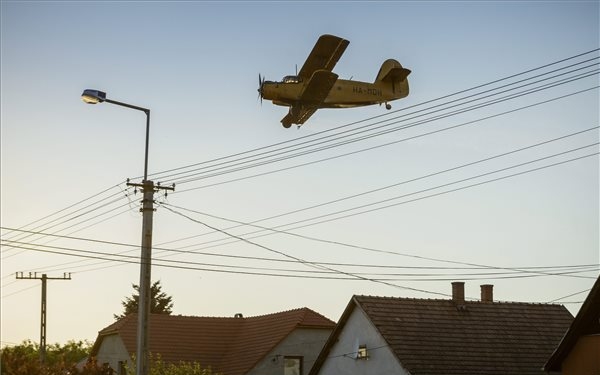 Még egy utolsót kapnak a szúnyogok a Balatonnál