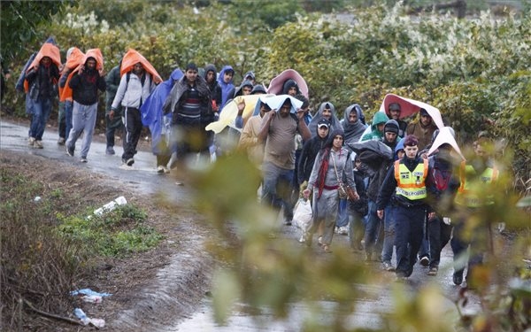 Illegális bevándorlás - Újabb incidensek Németországban